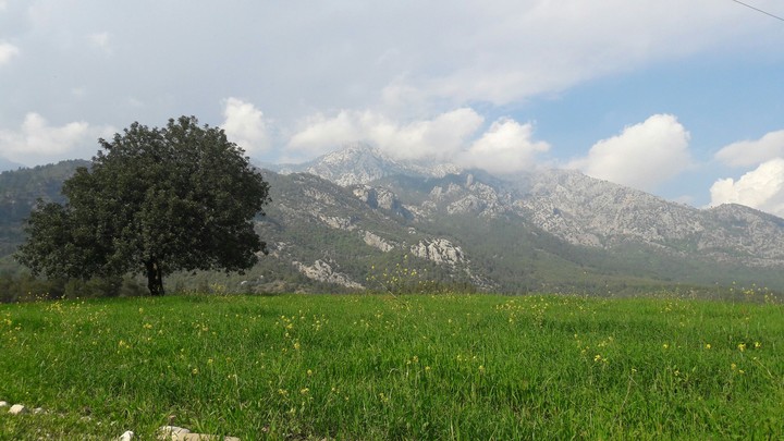 Mountain