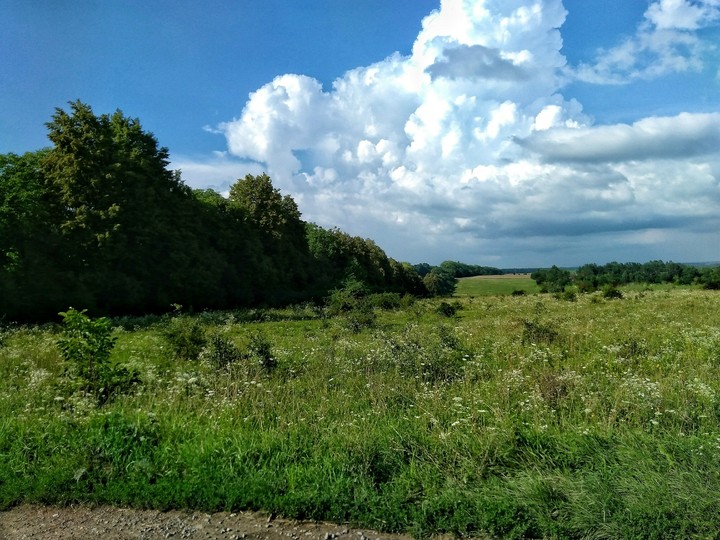 nature