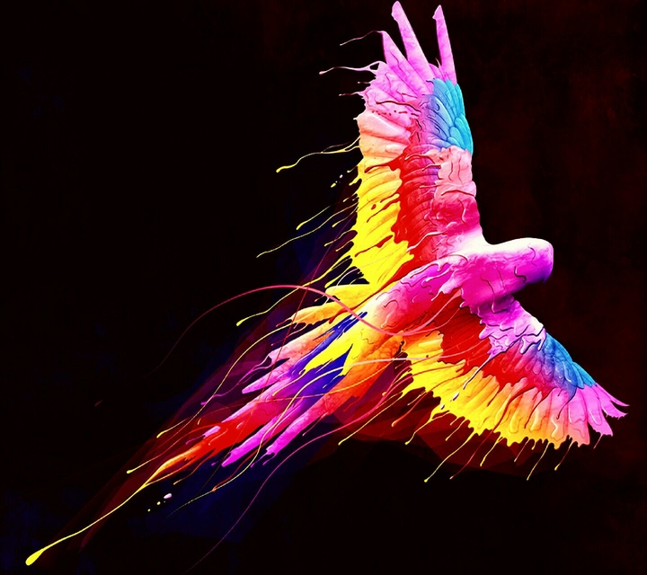 colourful bird