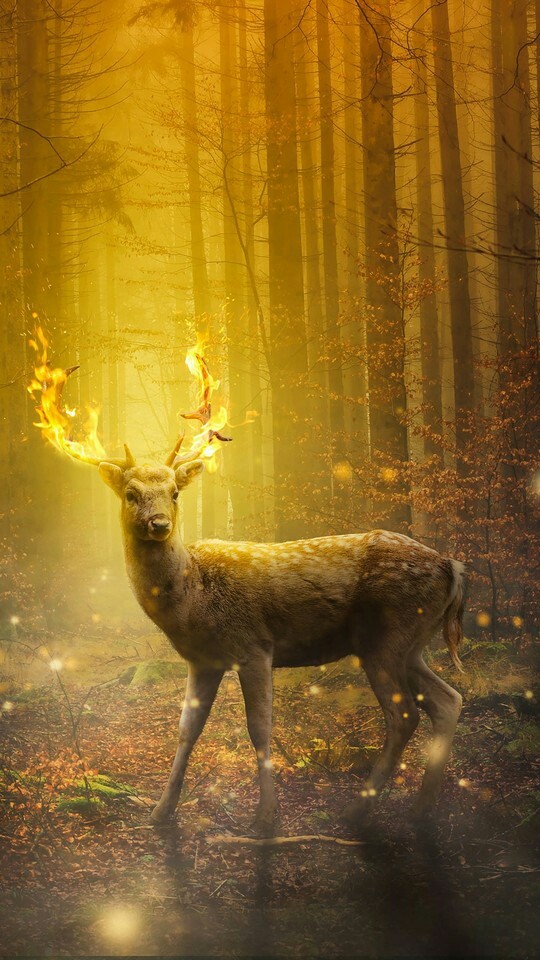 cerf