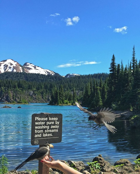 making a safe landing