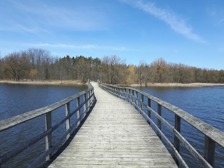 Rickety Bridge