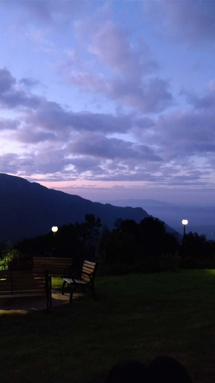 nilgiris