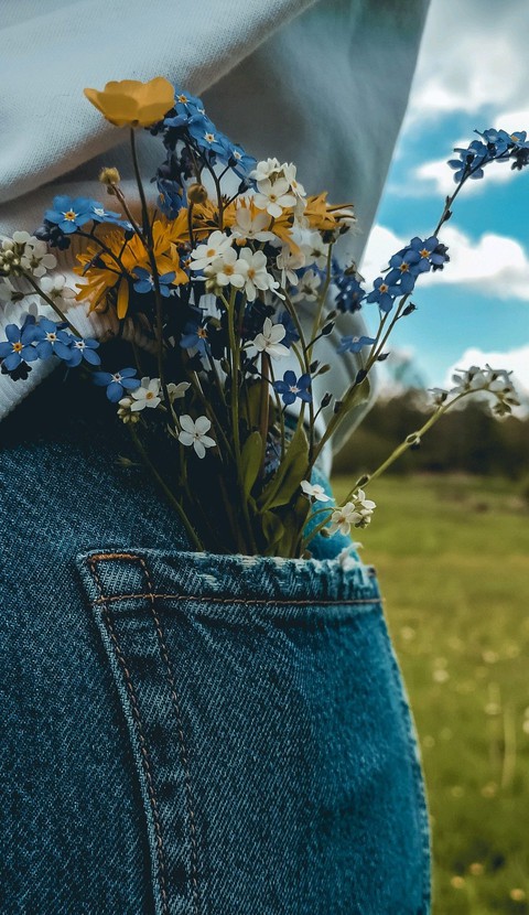 blue, branch wallpapers
