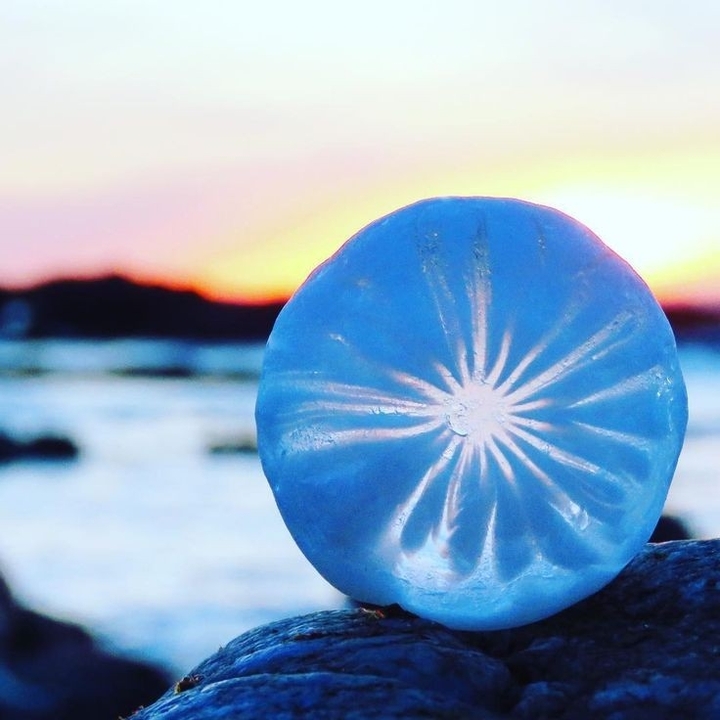 sunset tim with sea glass in sea Beach