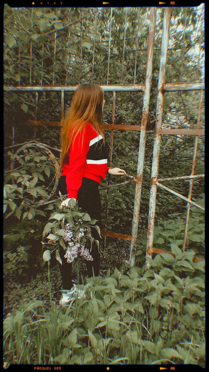 лес