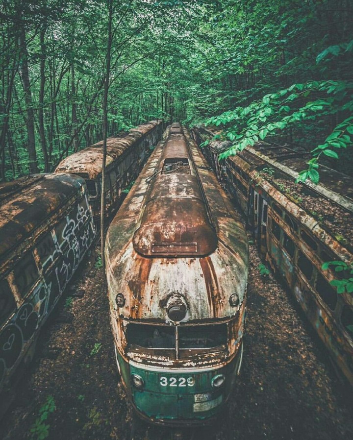 Train
