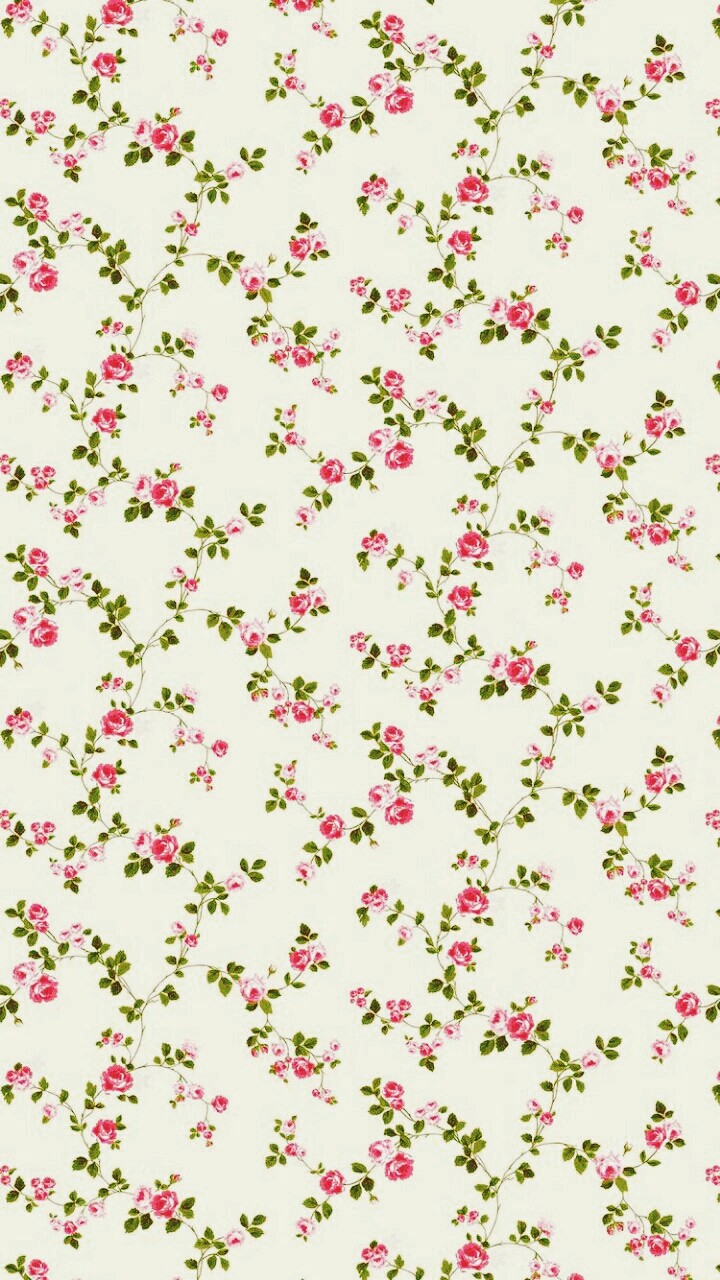 ♡ Roses ♡