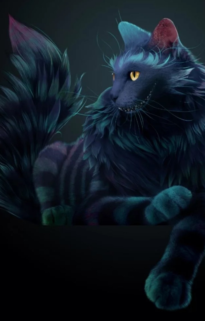 Чеширский кот