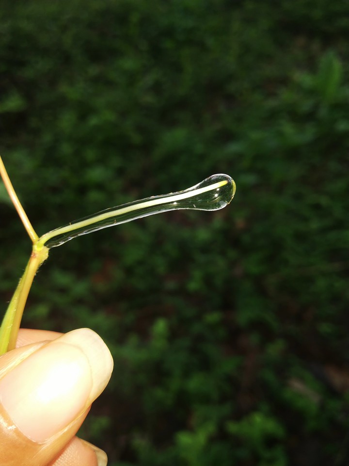 nature..??