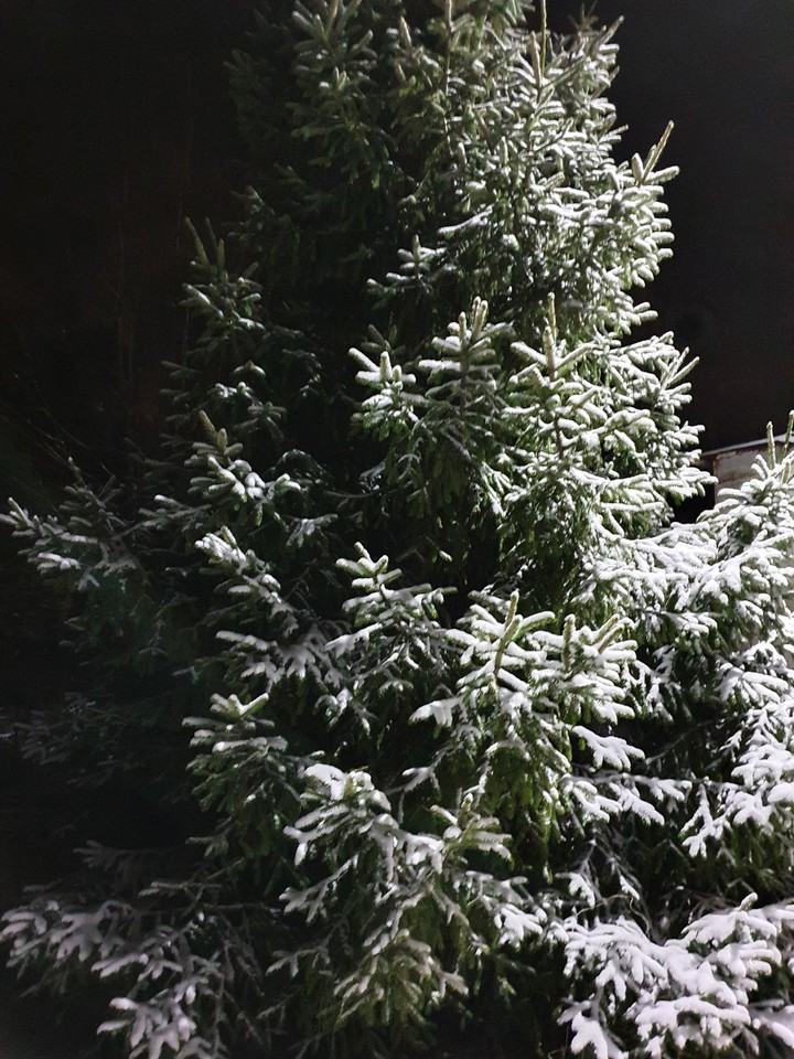 snow