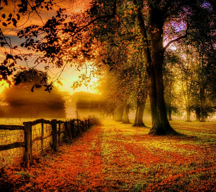 nature