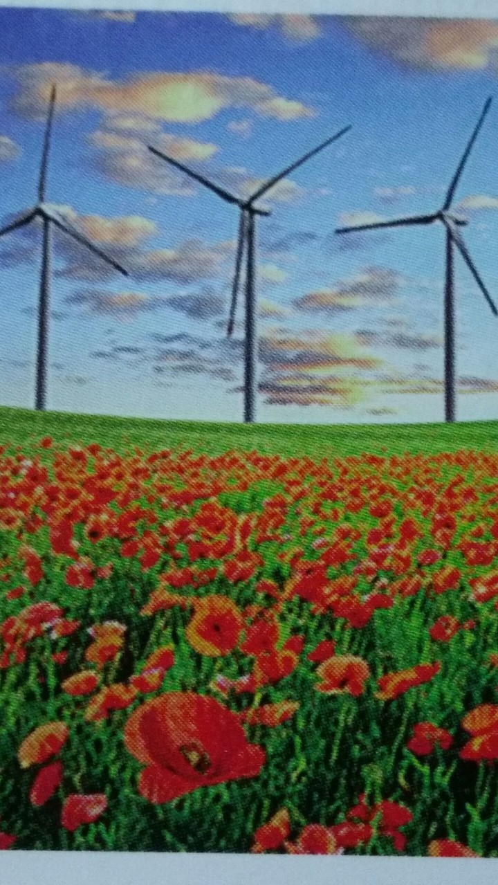 Flowers Horizon
