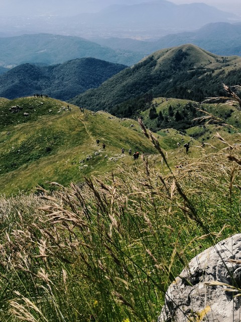 Hills