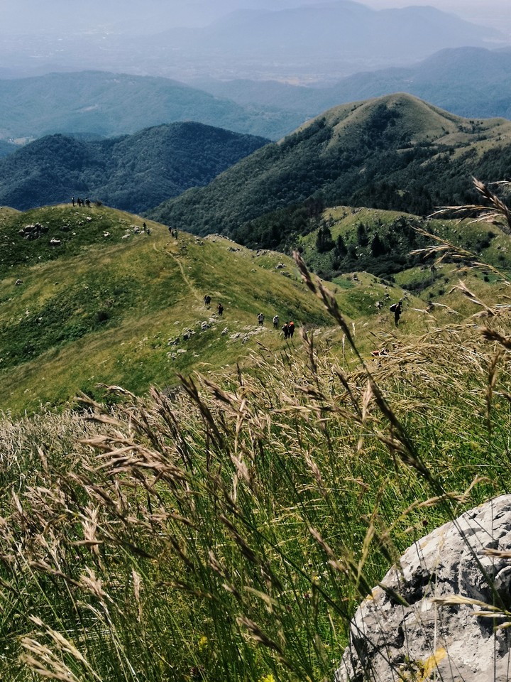 Hills
