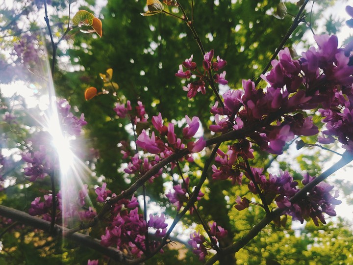 by Me