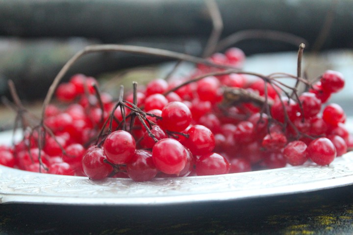 Red berrys
