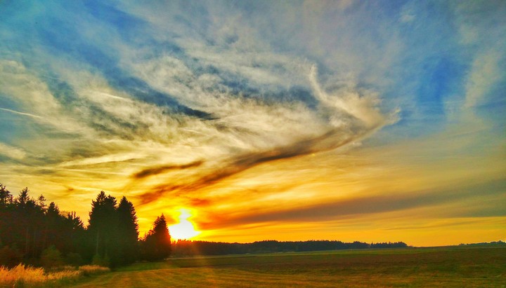 evening sun ♥