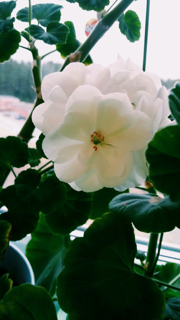 ♡♡♡
