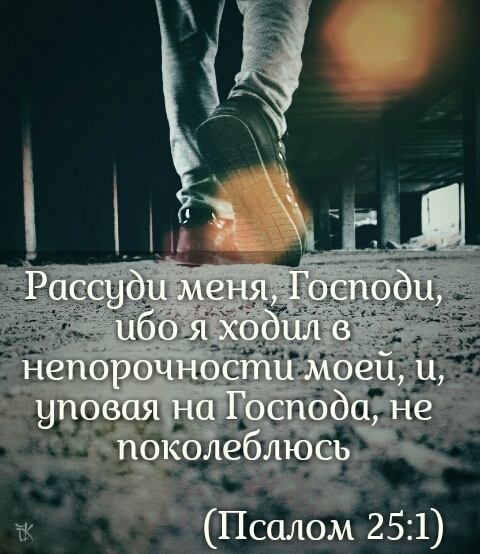 wisdom