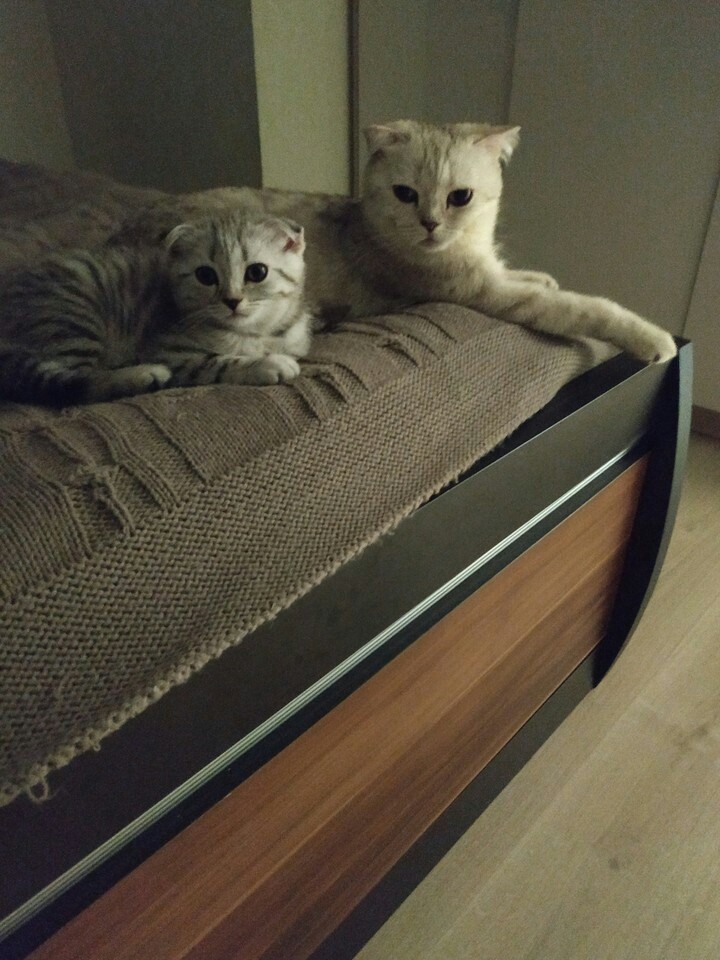 So cute~♡♡♡♡