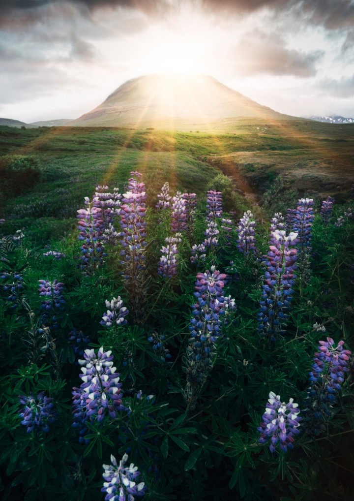 beautiful sunrise....