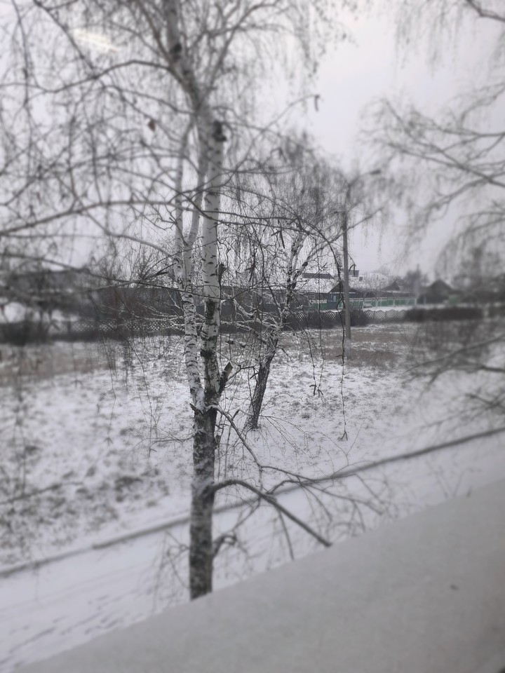 Зимная сказка.