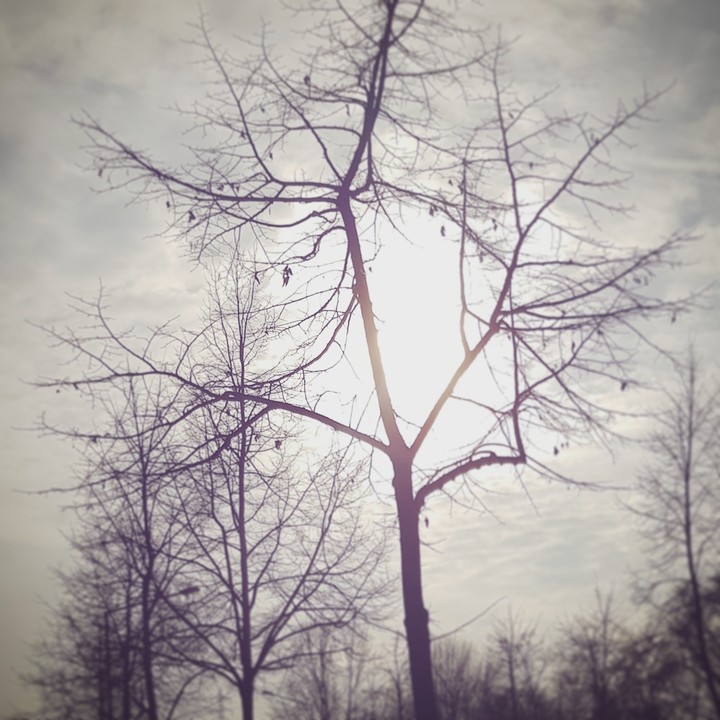 Naturpic