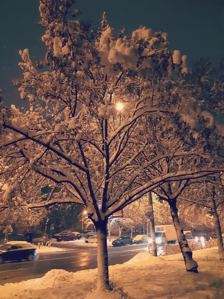 winter night
