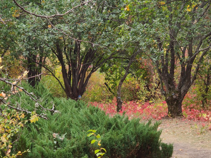 autumn