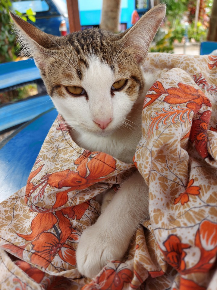 I'm cold, mom.