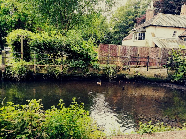 norwich