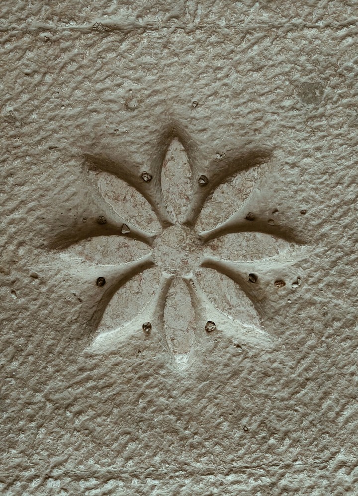 A flower in a stone