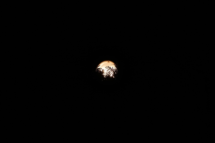 The streetlight that wanted to be a moon