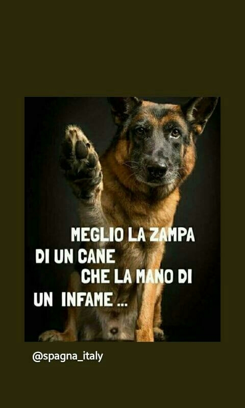 vero