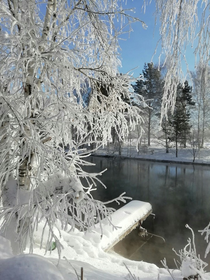 январский пейзаж