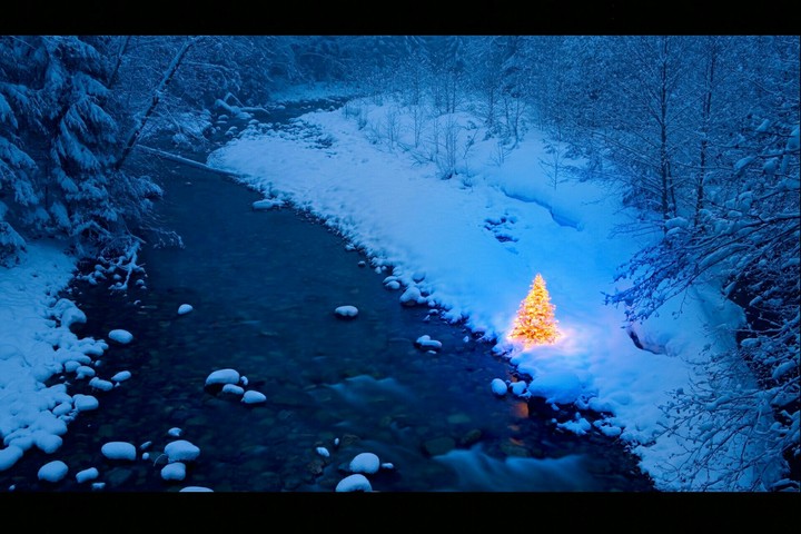 tree