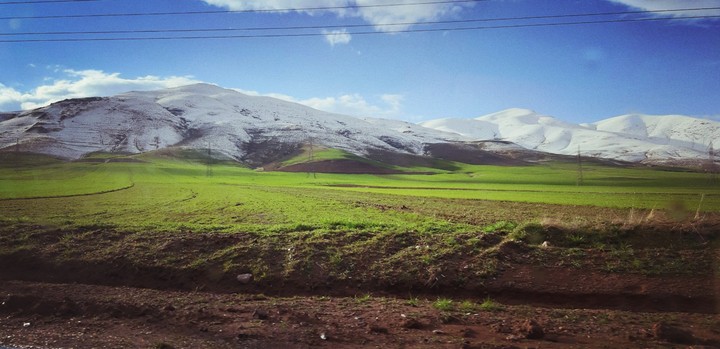 winter in spring