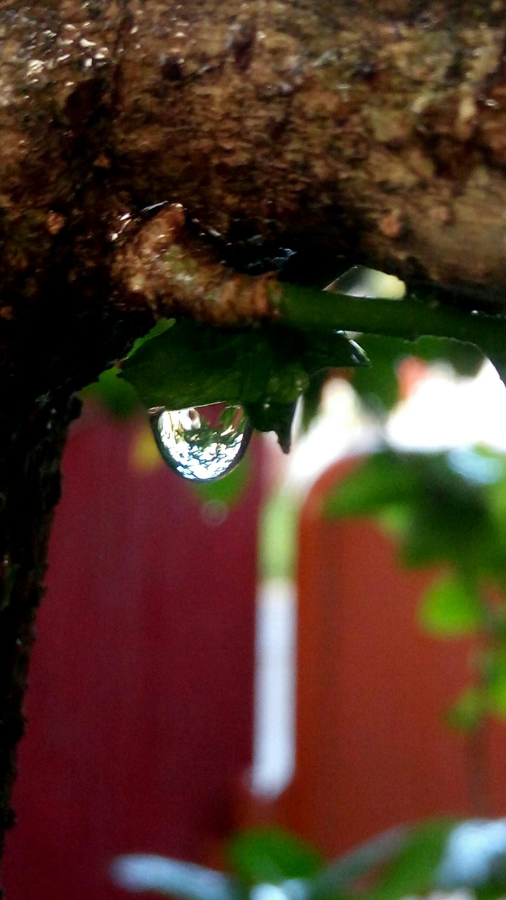 drop