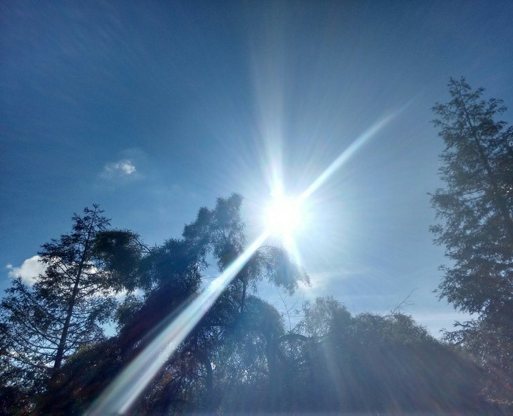 Ray of sunshine