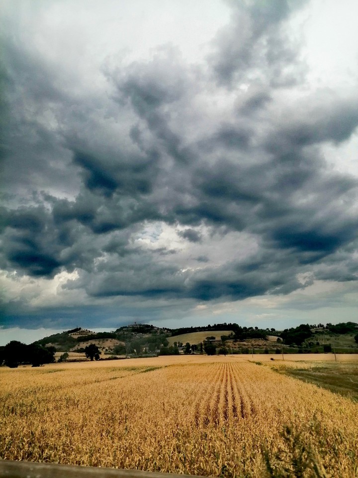 umbria