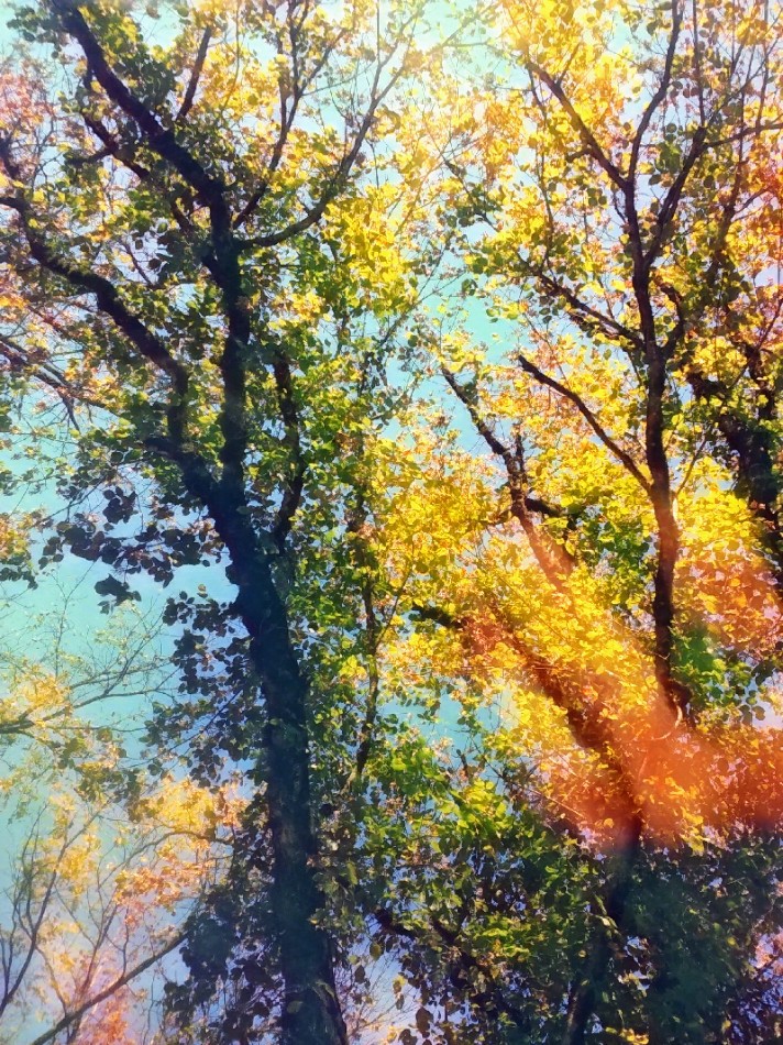 Fall