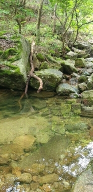 In Bukhansan Valley in Korea