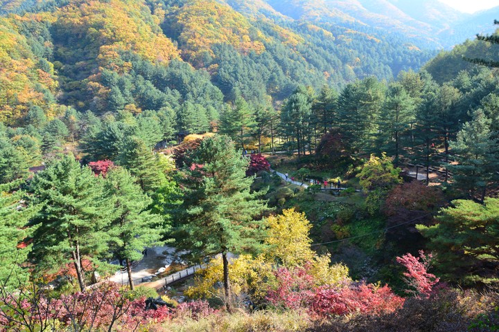 수목원이미지