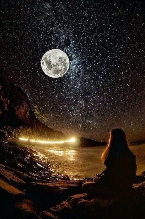 moonlight ?