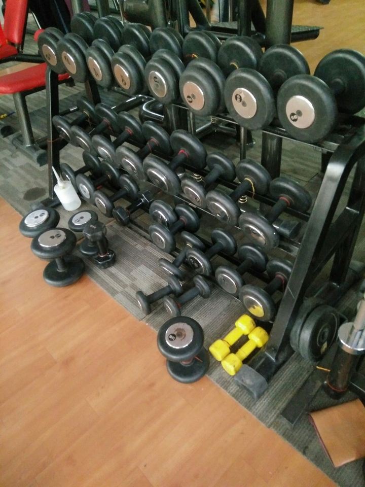 The workout