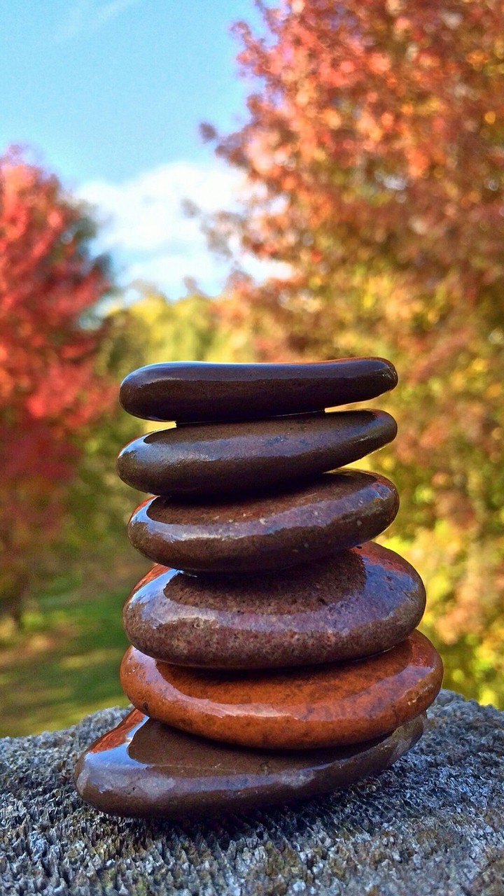 Wallpaper