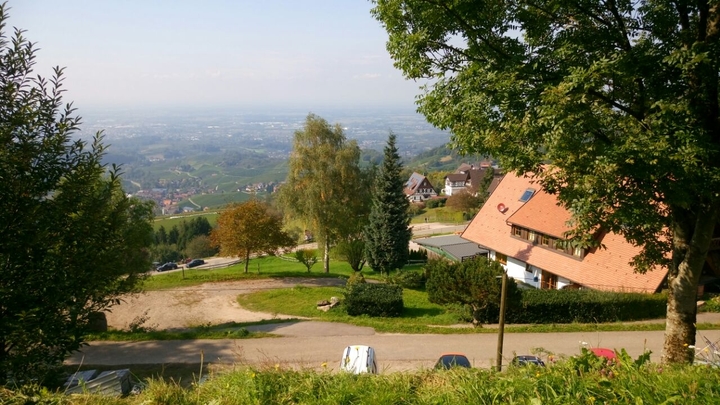 Schwarzwald/ Sasbachwalden