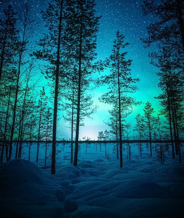 blue sky