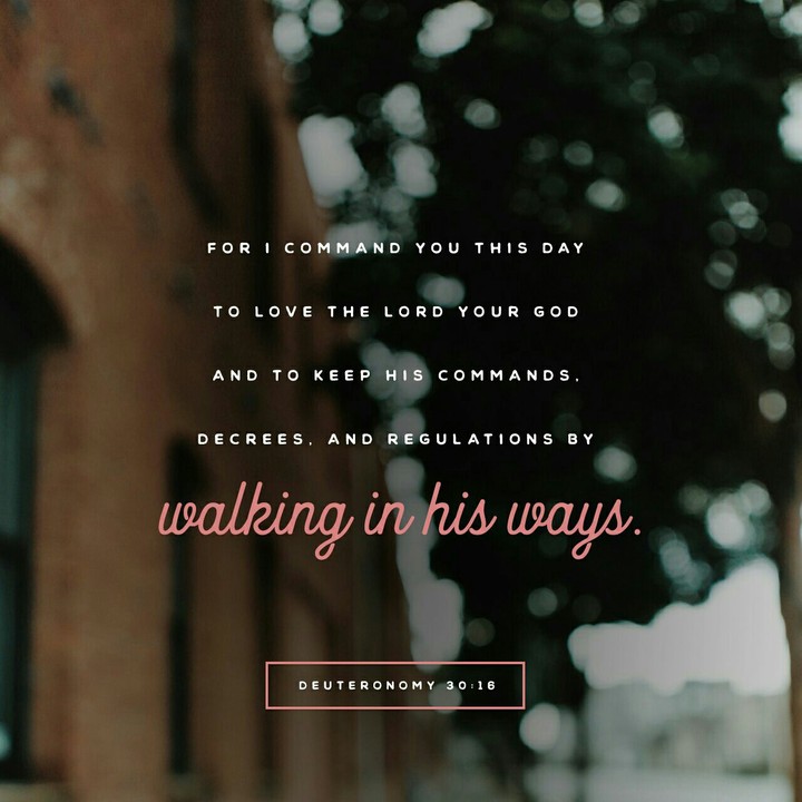 Deuteronomy 30:16